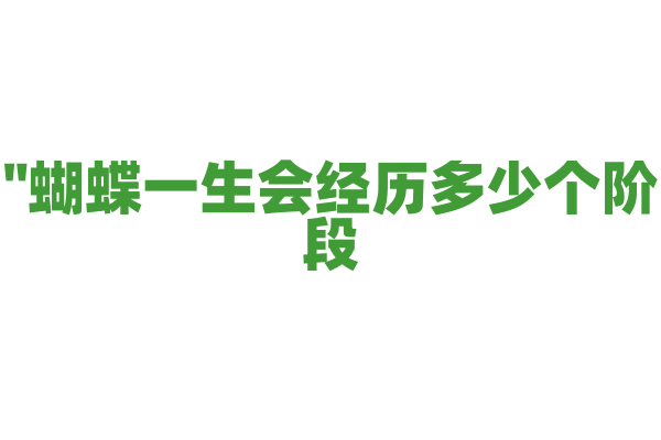 "蝴蝶一生会经历多少个阶段？"